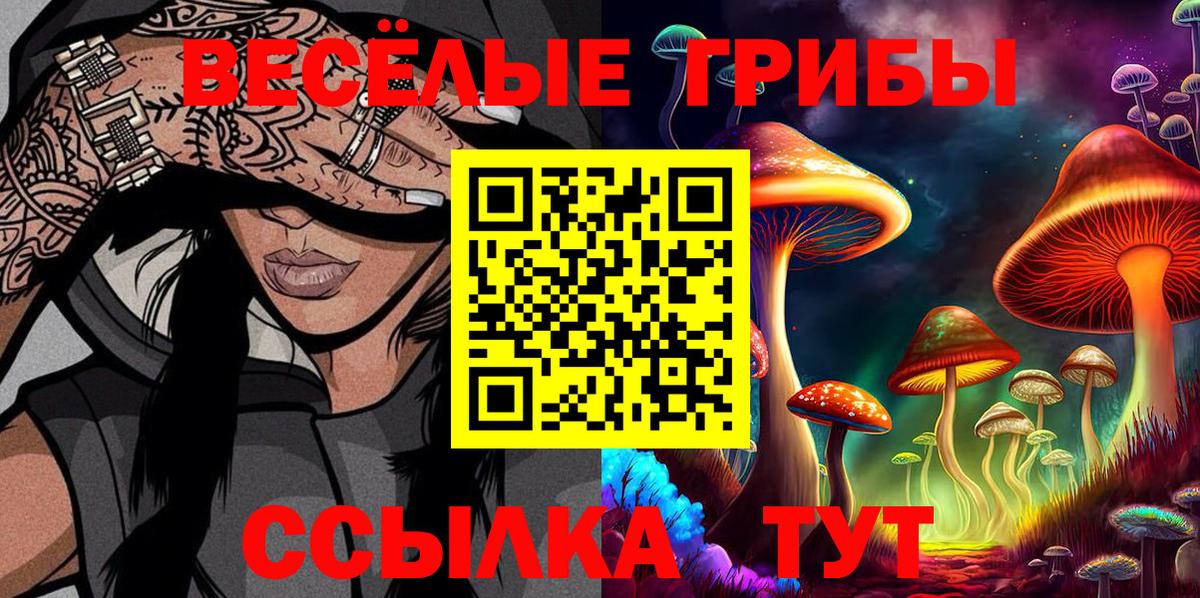 Псилоцибиновые грибы Psilocybe Краснодар