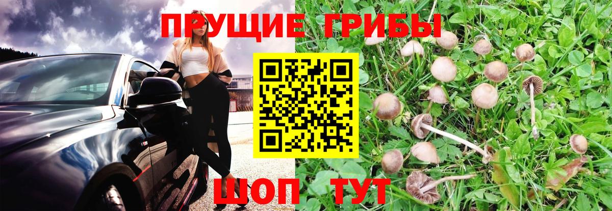 Псилоцибиновые грибы мицелий  Вход с VPN  Краснодар 
